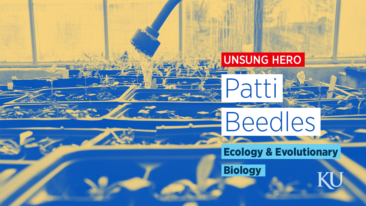 "Unsung Hero. Patti Beedles. Ecology & Evolutionary Biology"