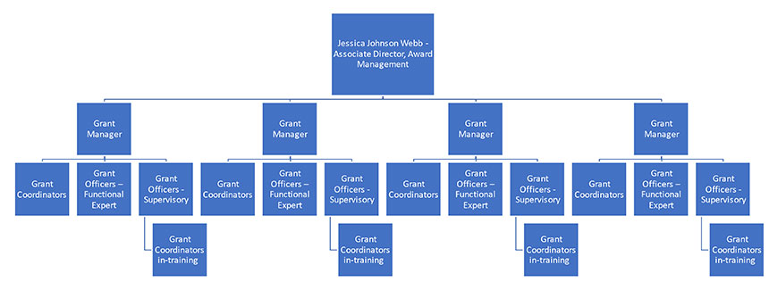 Flow chart showing organizational structure of KU's new Award Management Services unit.