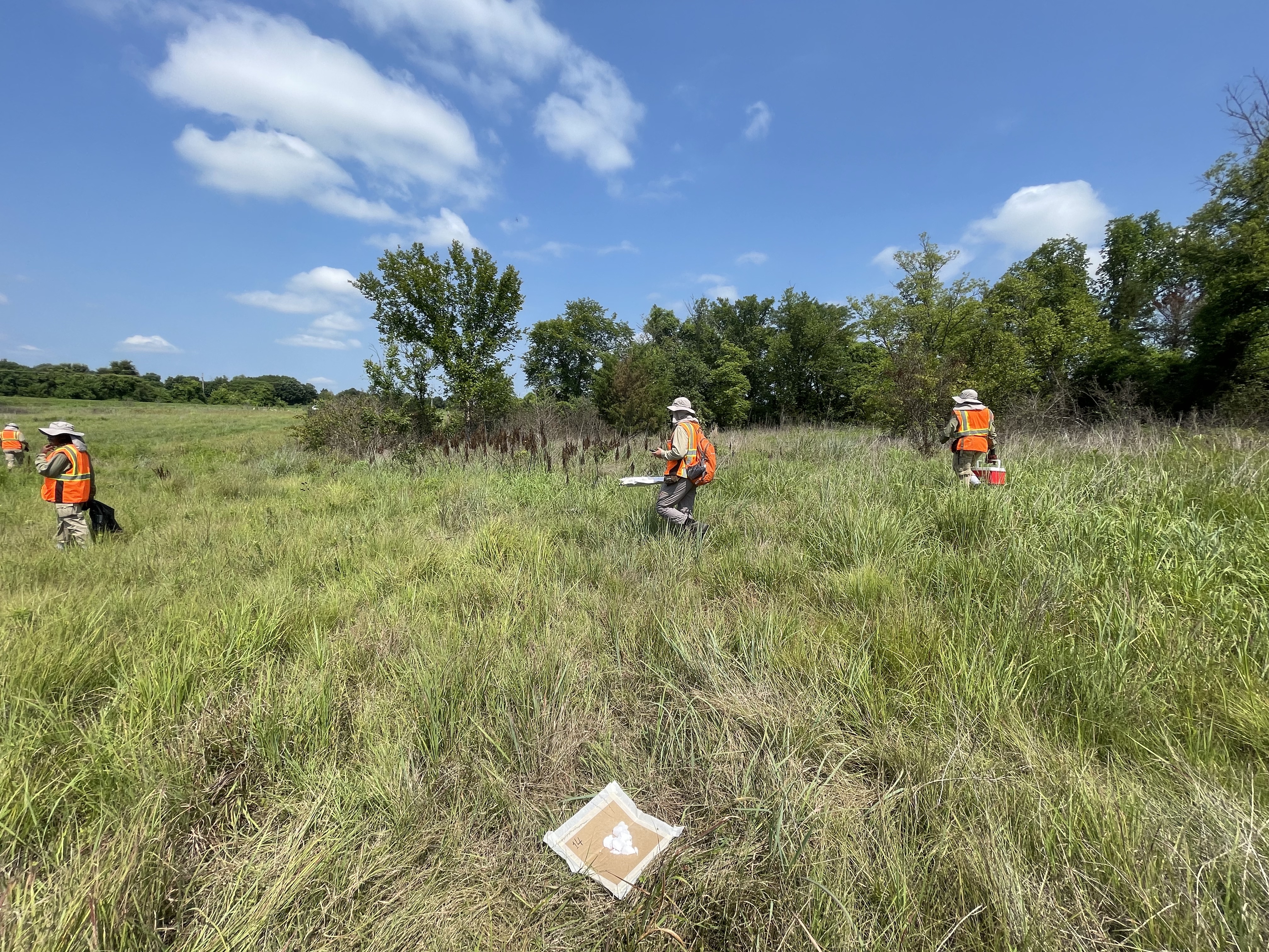 A team of KU biologists collets ticks at Clinton Lake, one of five sites it samples across Kansas. (Photo by Jarrett Mellenbruch)