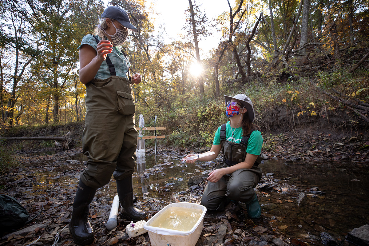 ku undergraduate research