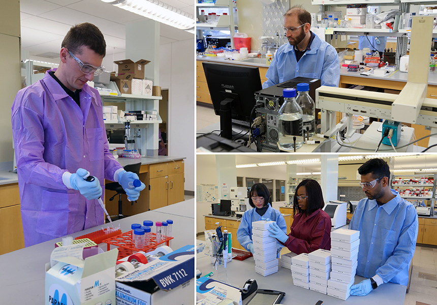Researchers work in the lab to formulate and analyze vaccine candidates