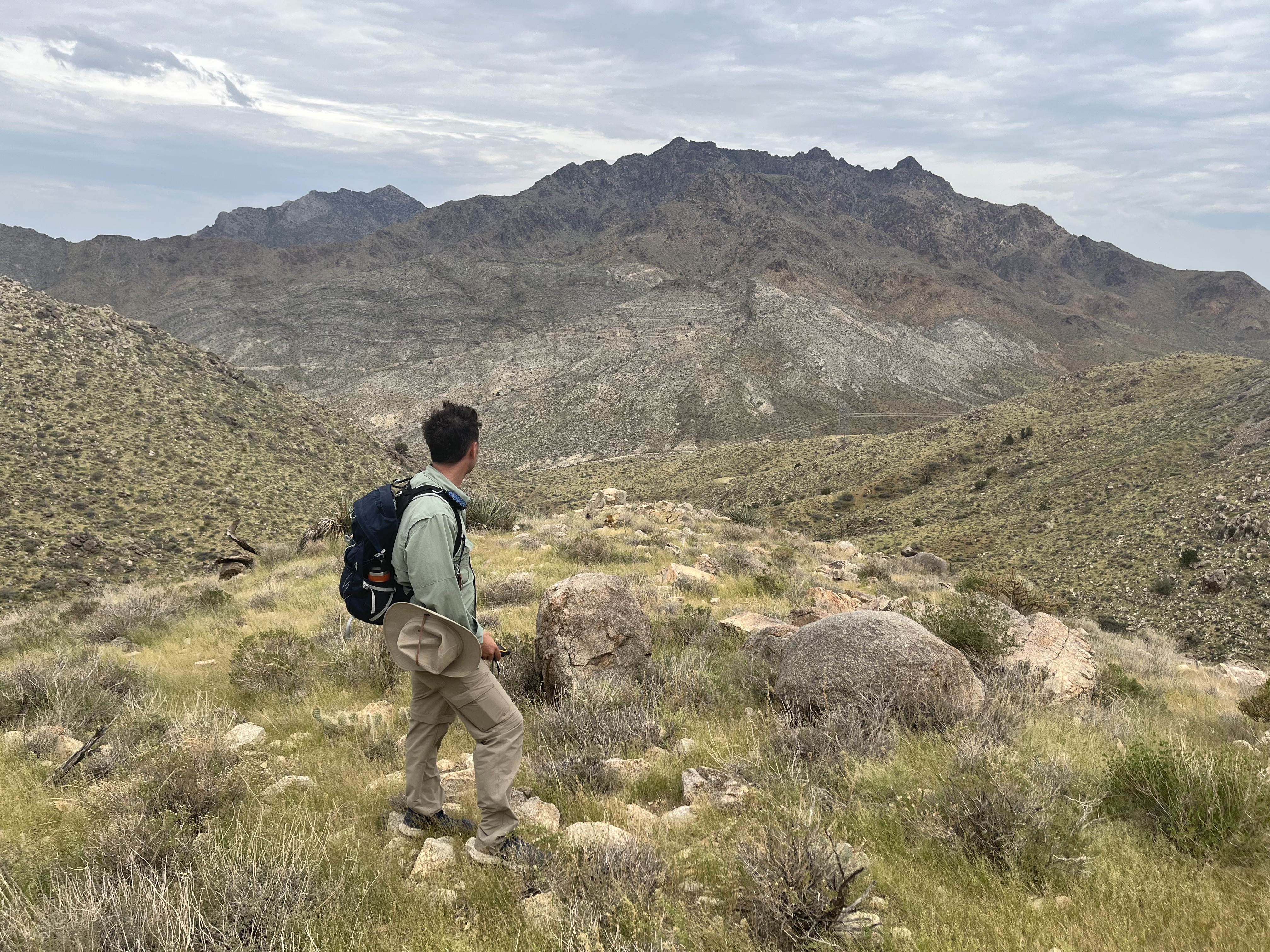KU ecology and evolutionary biology associate professor Ben Sikes looks at the Mojave Mountains. 