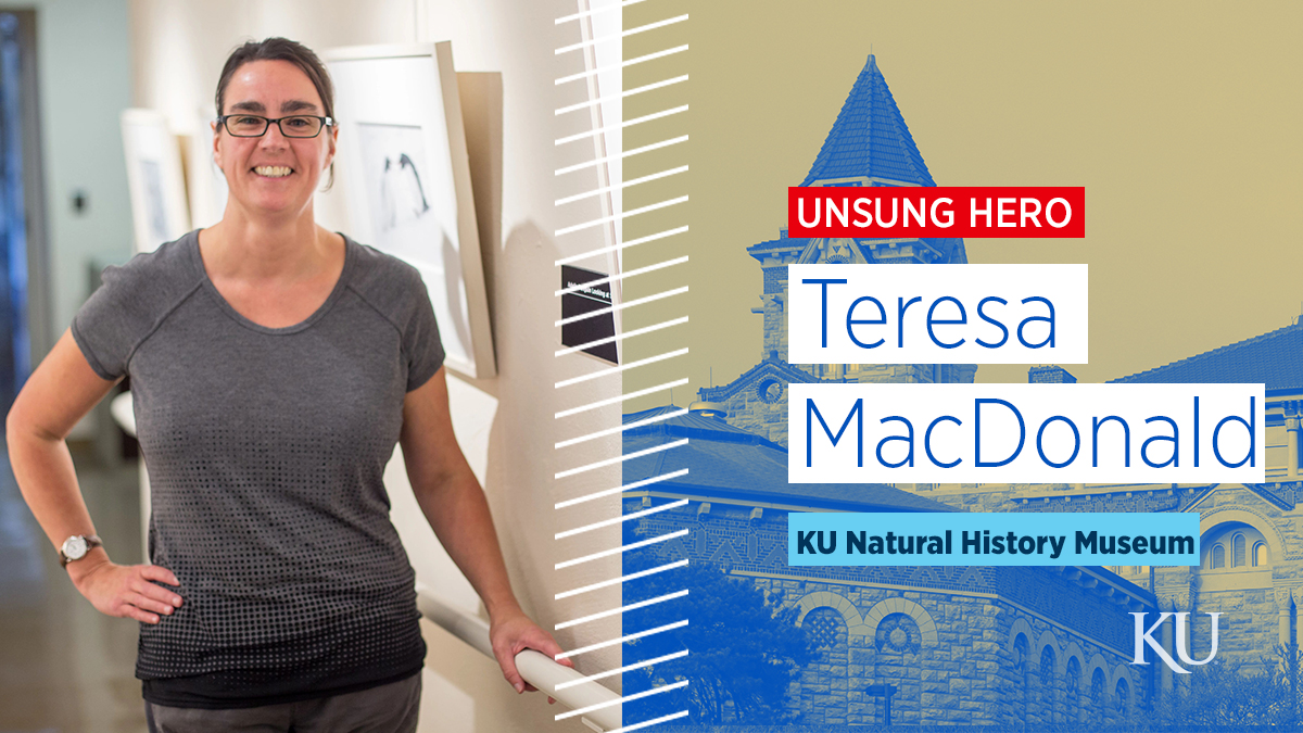 Photo of Teresa MacDonald with the words "unsung hero, Teresa MacDonald, KU Natural History Museum" on the left side.