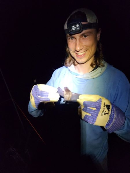 "Ben Wiens holds an evening bat documented in the resurvey after it was caught in a mist net in Trego County."
