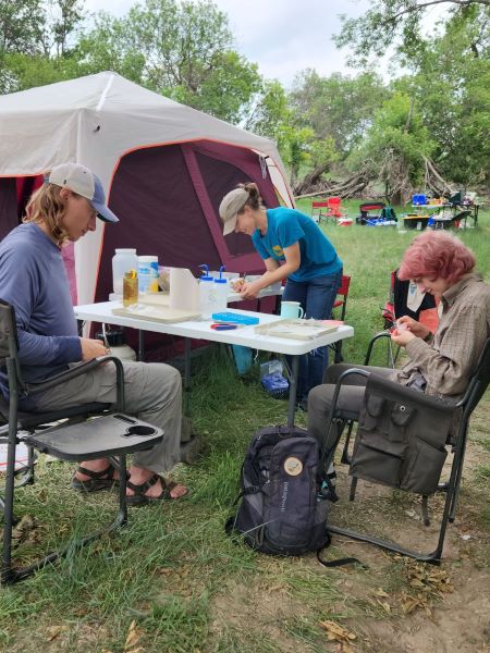 "Ben Wiens, Dianna Krejsa and Bailey Dixon prepare specimens in the field in Trego County. "