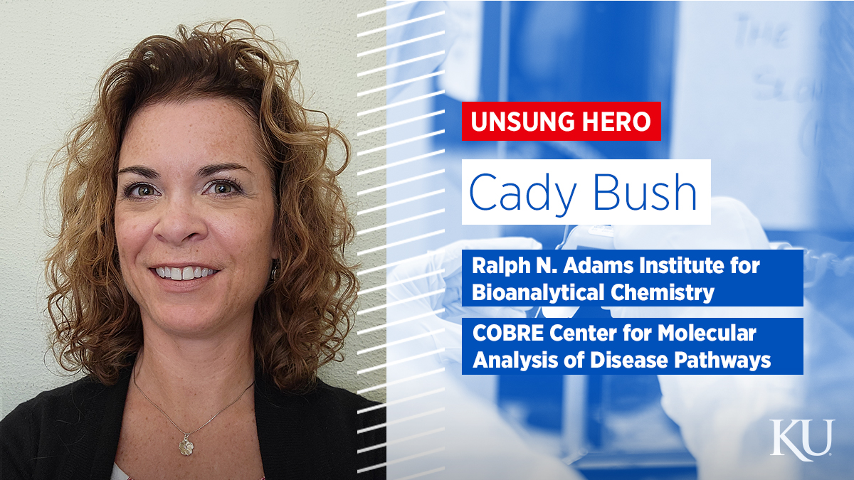 Graphic shows Cady Bush as unsung hero of KU Research