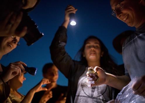 A group of student researchers shine flashlights on a frog someone is holding