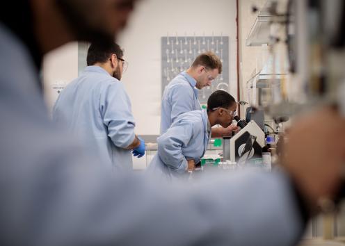 Four researchers work in a petroleum engineering lab. One researcher looks through a microscope