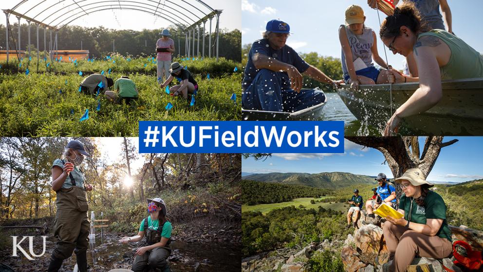 A split image of four photos shows KU researchers conducting fieldwork research in fields, rivers, streams and mountains. The graphic has text in the center that reads, "#KUFieldWorks" 